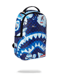 NORTH SHARK