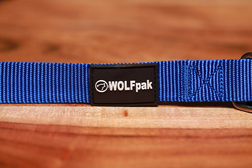Adjustable Nylon Dog Collar Champion Blue